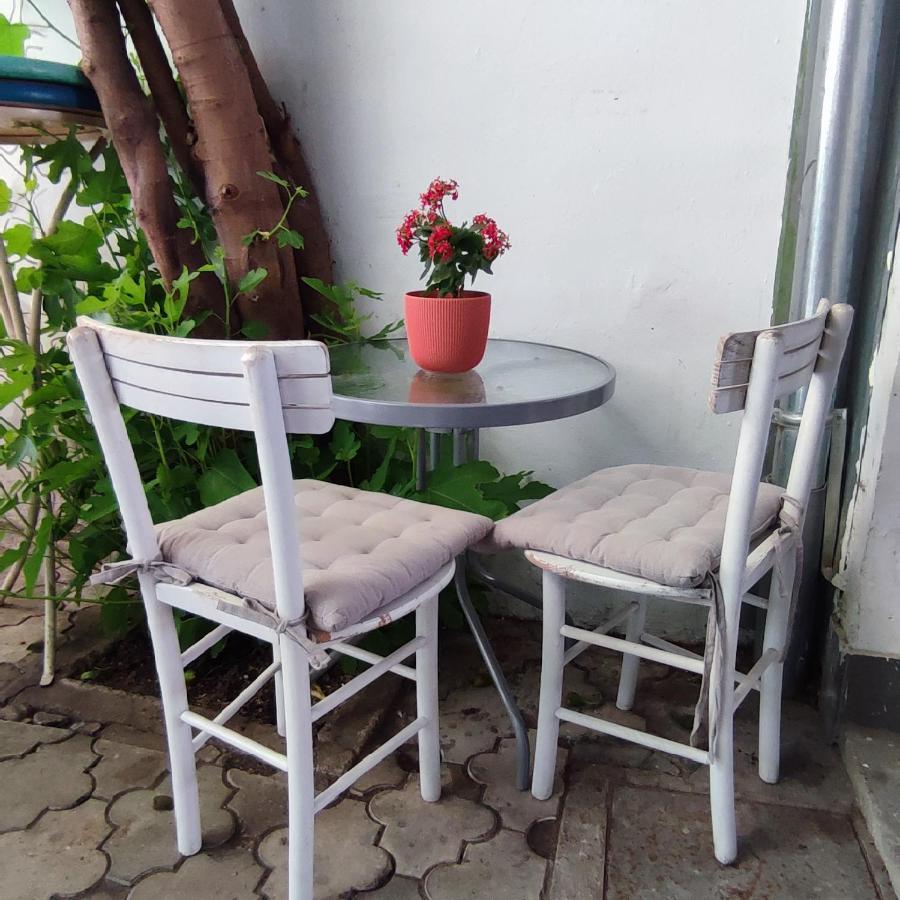 Centar Novi Sad-Apartman No 3 Kültér fotó