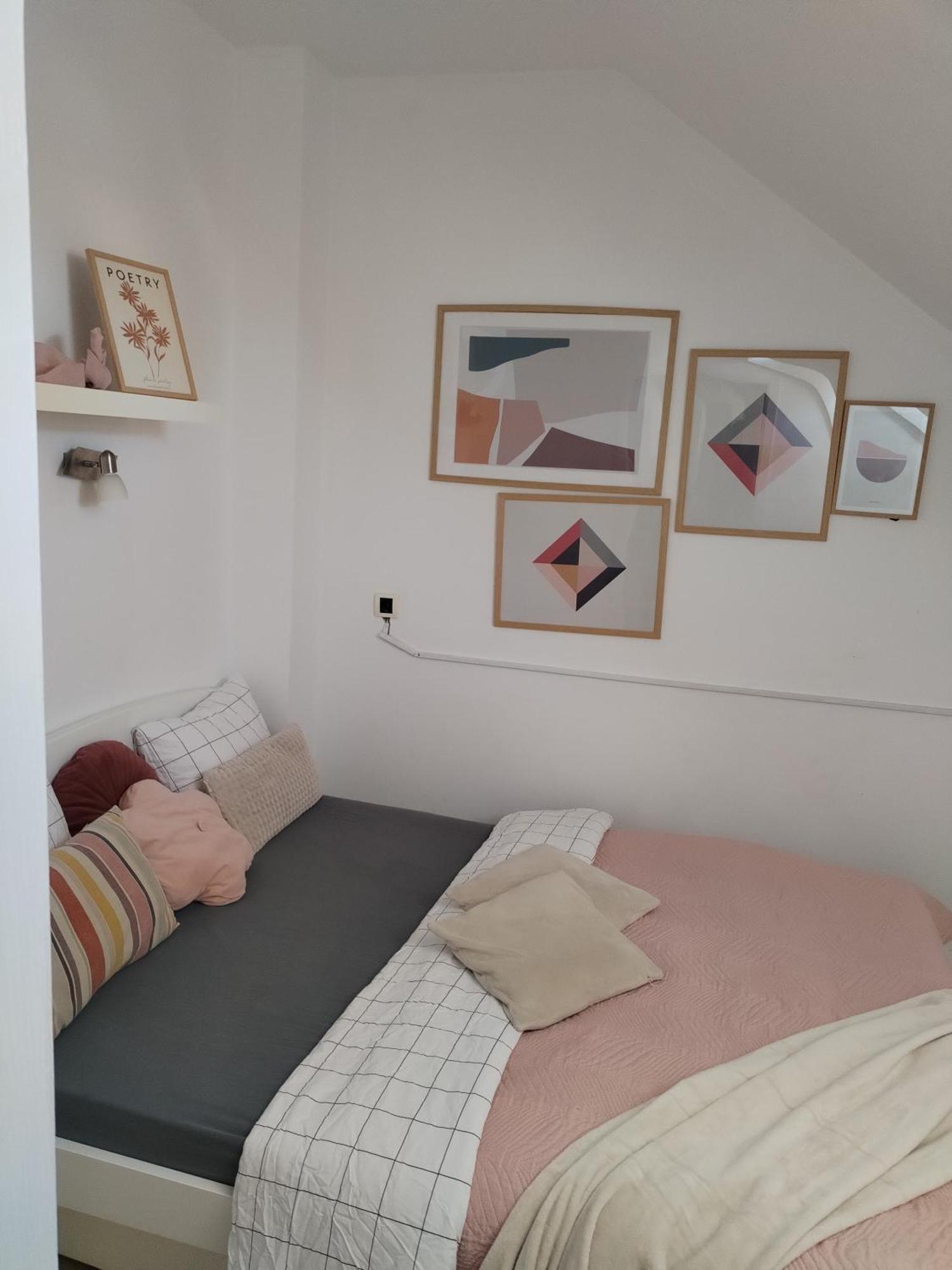 Centar Novi Sad-Apartman No 3 Kültér fotó